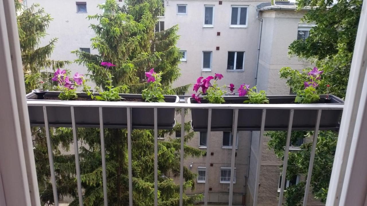 Tisza-Parti Napfeny Apartman 세게드 외부 사진